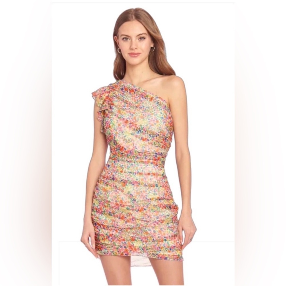 Amanda Uprichard Floral Mini